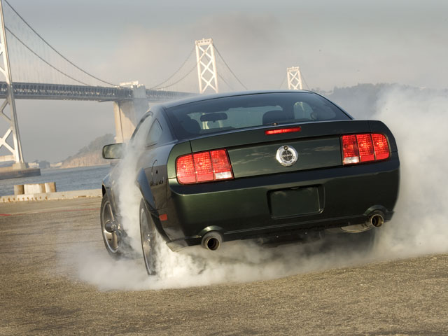 MustangRear2008.jpg