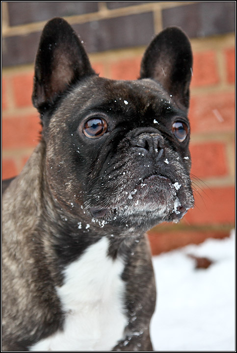 George2010Snow_b.jpg