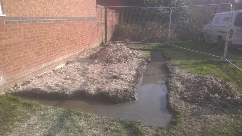 20140312_002.jpg