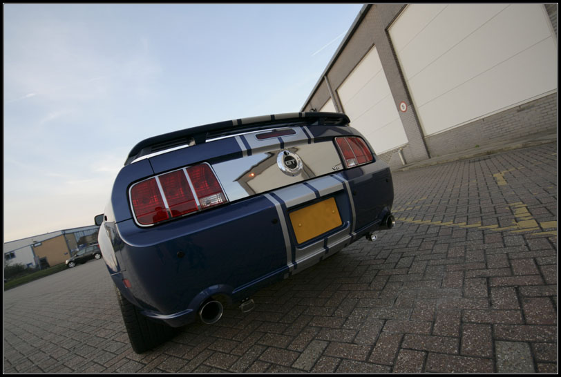 MustangPostDetail_04.jpg