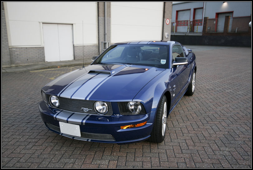 MustangPostDetail_05.jpg